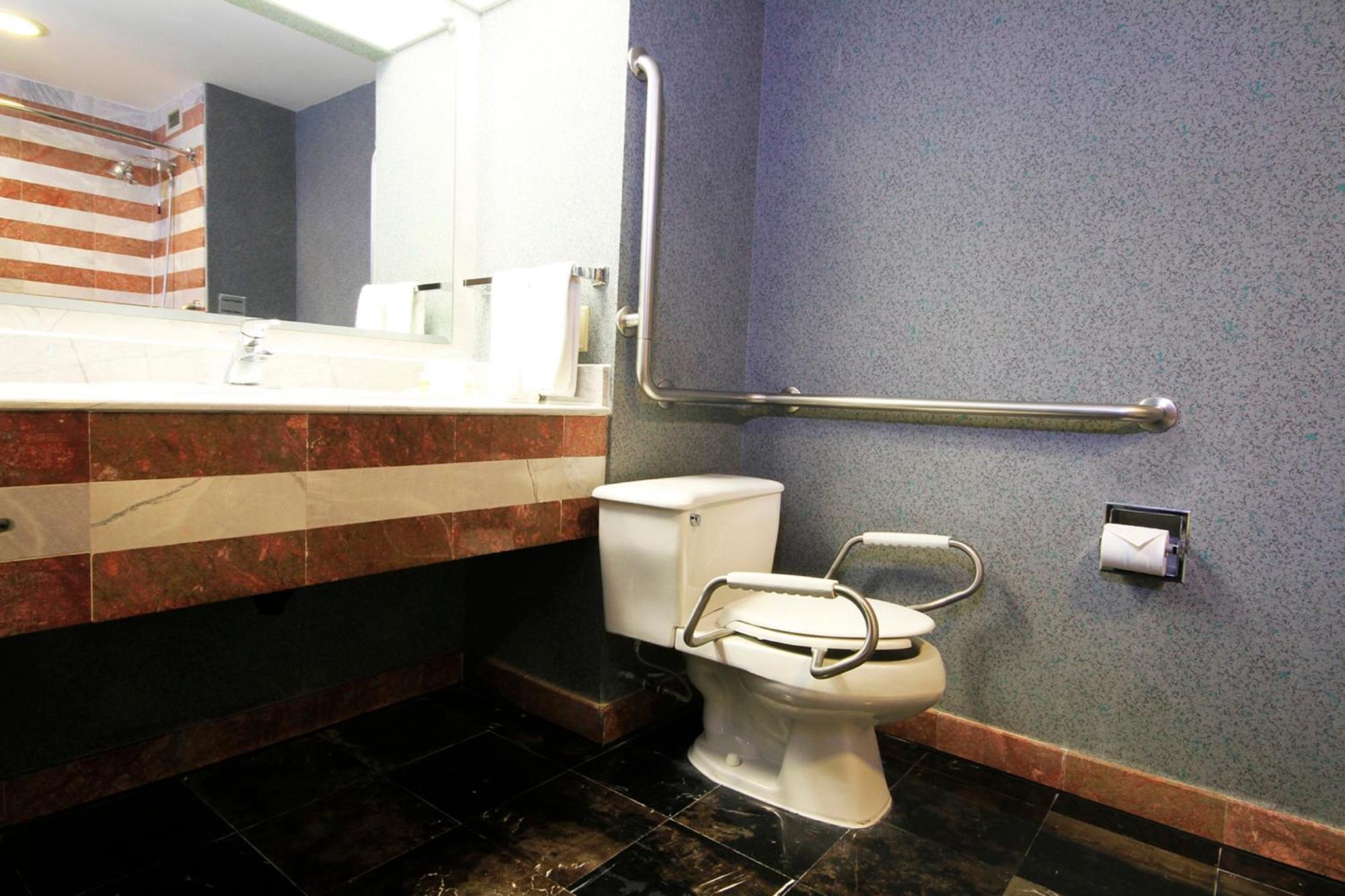 Habitación Estándar adaptada para personas de movilidad reducida - 1 cama grande